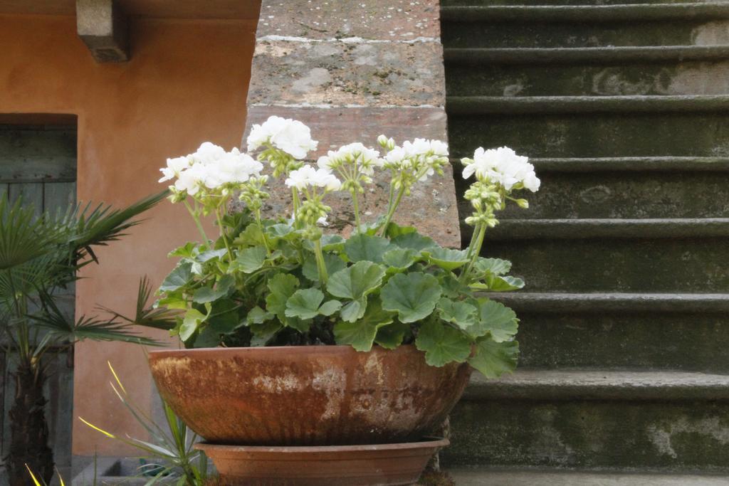 Borgo Archinto Apartment Robecco sul Naviglio ภายนอก รูปภาพ