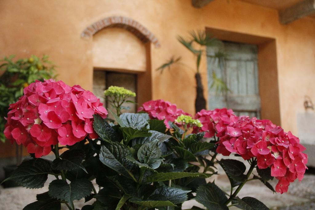 Borgo Archinto Apartment Robecco sul Naviglio ภายนอก รูปภาพ
